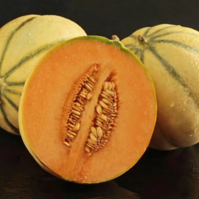 Thompson & Morgan Melon Alvaro F1 Hybrid 1 Seed Packet