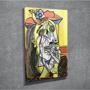 DC242 Multicolor Decorative Canvas Painting