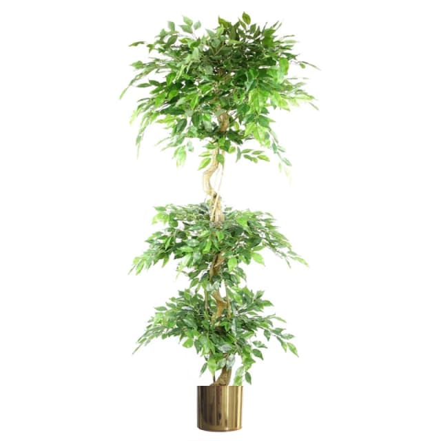 N/A 180cm Artificial Twisted Trunk Fruticosa Ficus Tree Triple Ball Topiary 1984 Leaves Gold Metal Planter