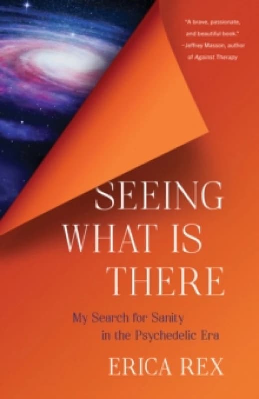 Seeing What Is There : My Search for Sanity in the Psychedelic Era Paperback / softback