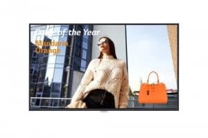 43UH5F 43" IPS 4K Ultra HD HDMI LED Display