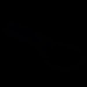 Maglite D Cell Belt Holder Plain Leather Black