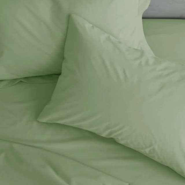 Catherine Lansfield Catherine Lansfield 'Easy Iron Percale' Standard Pillowcase Pair in Light Green Size: Standard Pillow Case Light Green Standard