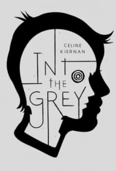Into the Grey by Celine Kiernan Hardback