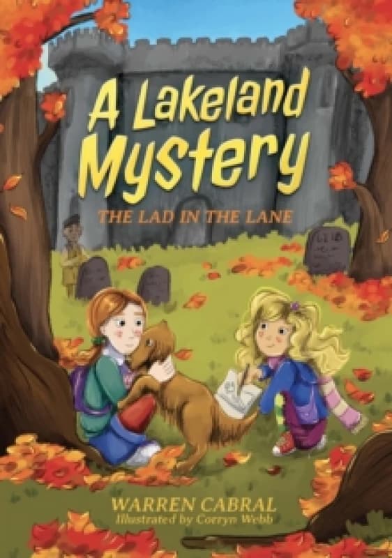 The Lad in the Lane. Paperback. By Warren Cabral, Ryan Webb Books