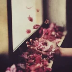 Vintul Prin Salcii by Petre Inspirescu Vinyl Album