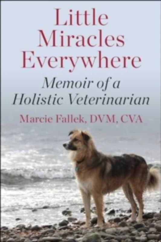 Little Miracles Everywhere : My Unorthodox Path to Holistic Veterinary Medicine Hardback