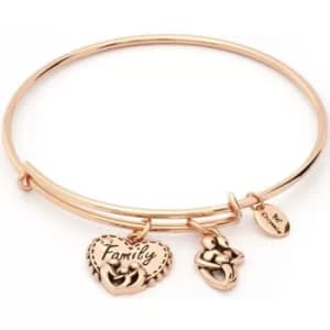 Ladies Chrysalis Rose Gold Plated Thinking Of You Family Expandable Bangle
