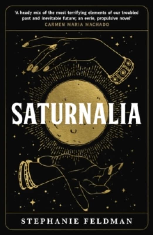 Saturnalia. Paperback. By Stephanie Feldman Books