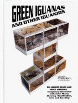 Green Iguanas and Other Iguanids by Hubert Bosch and Heiko Werning Hardback
