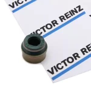 REINZ Valve Stem Seals 70-26058-00 Valve Stem Oil Seals,Valve Seals VW,AUDI,MERCEDES-BENZ,Golf IV Schragheck (1J1),Golf V Schragheck (1K1),POLO (9N_)