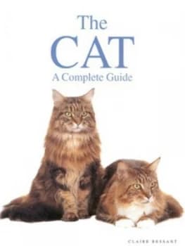 The Cat by Claire Bessant Hardback