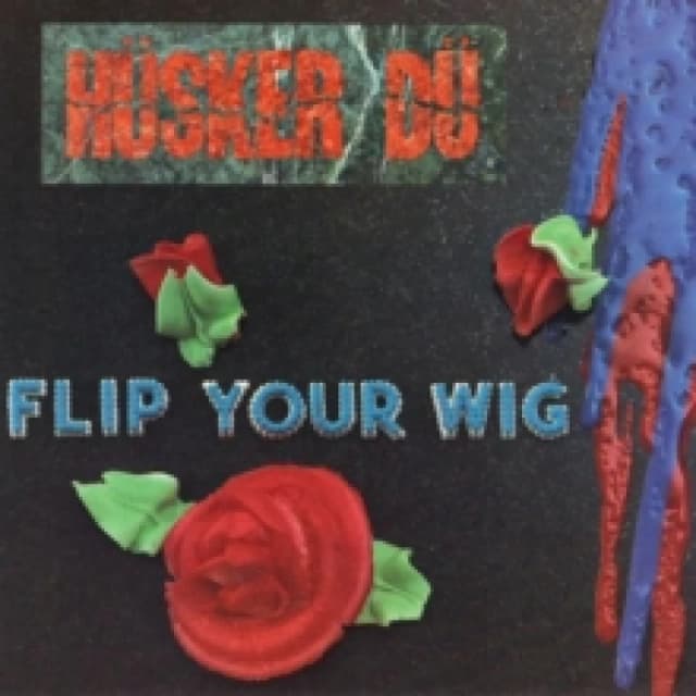 Flip Your Wig CD / Album