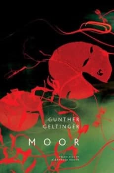 Moor by Gunther Geltinger Hardback
