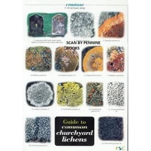 Guide to Common Churchyard Lichens 2004 Other printed item