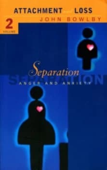 Separation Paperback