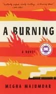 burning a novel