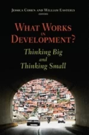 what works in development thinking big and thinking small