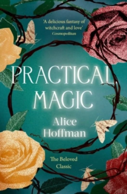 Practical Magic : The Beloved Novel of Love, Friendship, Sisterhood and Magic Volume 3 Paperback / softback