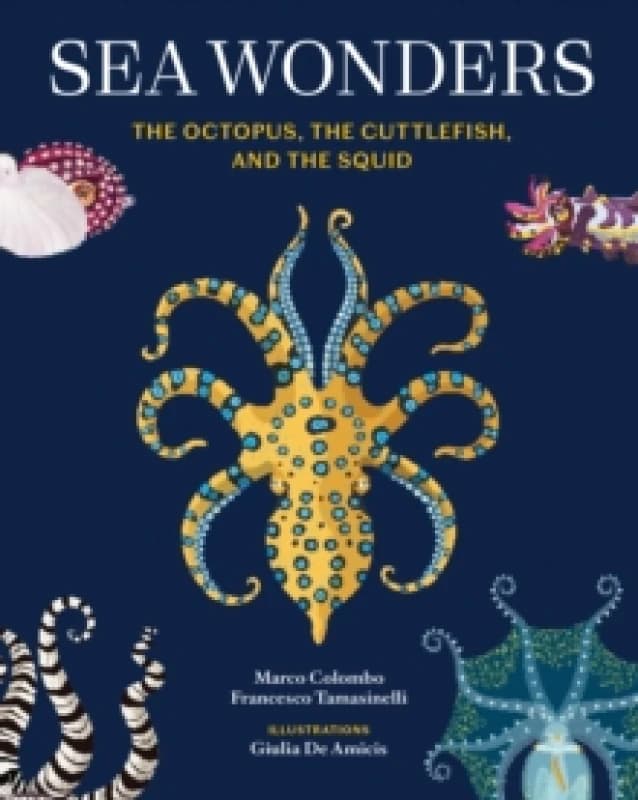 Sea Wonders : The Octopus, the Cuttlefish, and the Squid Hardback