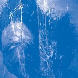 Secret Boyfriend ‎- This Is Always Where You've Lived Vinyl