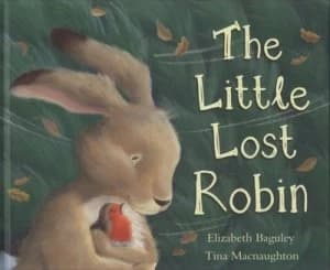 The Little Lost Robin by Elizabeth Baguley and Tina Macnaughton Hardback