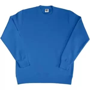 SG Ladies/Womens Crew Neck Long Sleeve Sweatshirt (2XL) (Royal)