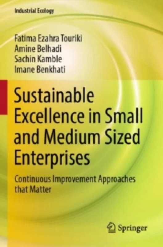Sustainable Excellence in Small and Medium Sized Enterprises : Continuous Improvement Approaches that Matter Paperback / softback