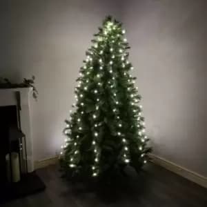 Warm White 200 micro LED Christmas Lights