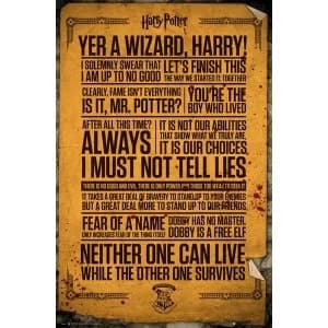 Harry Potter Quotes Maxi Poster