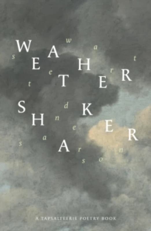 Weathershaker Paperback / softback