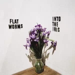 Into the Iris by Flat Worms Vinyl Album