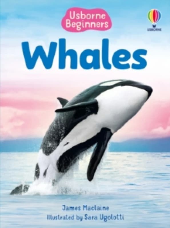 Beginners Whales Hardback