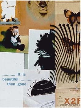 It Is Beautiful-- Then Gone by Martin Venezky Hardback