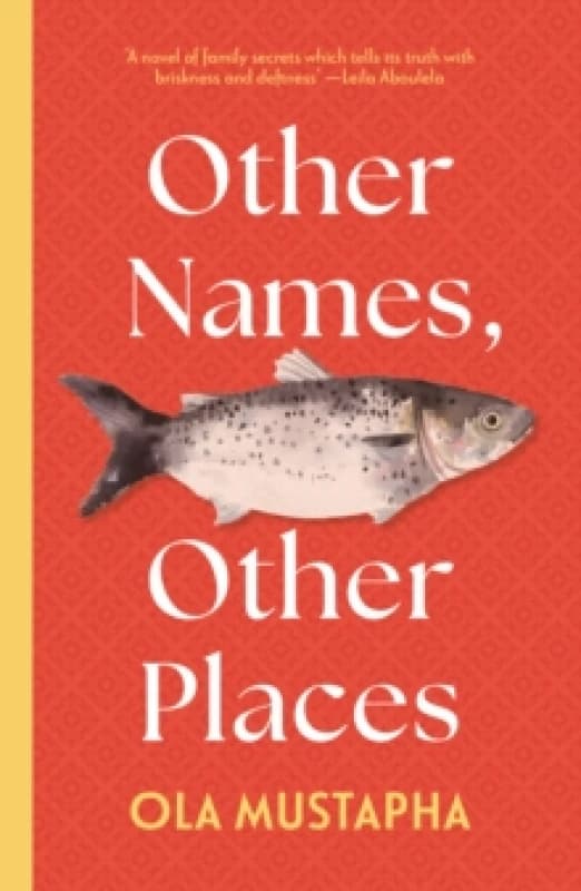 Other Names, Other Places : A dazzling novel of family, identity and self Paperback / softback