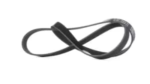 RIDEX V-ribbed belt 305P0306 Serpentine belt,Auxiliary belt OPEL,FORD,CHEVROLET,ZAFIRA B (A05),Astra H Caravan (A04),Astra H Schragheck (A04)