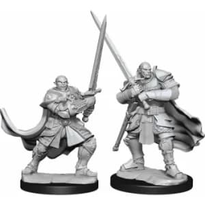 D&D Nolzur's Marvelous Unpainted Miniatures (W15) Half-Orc Paladin Male