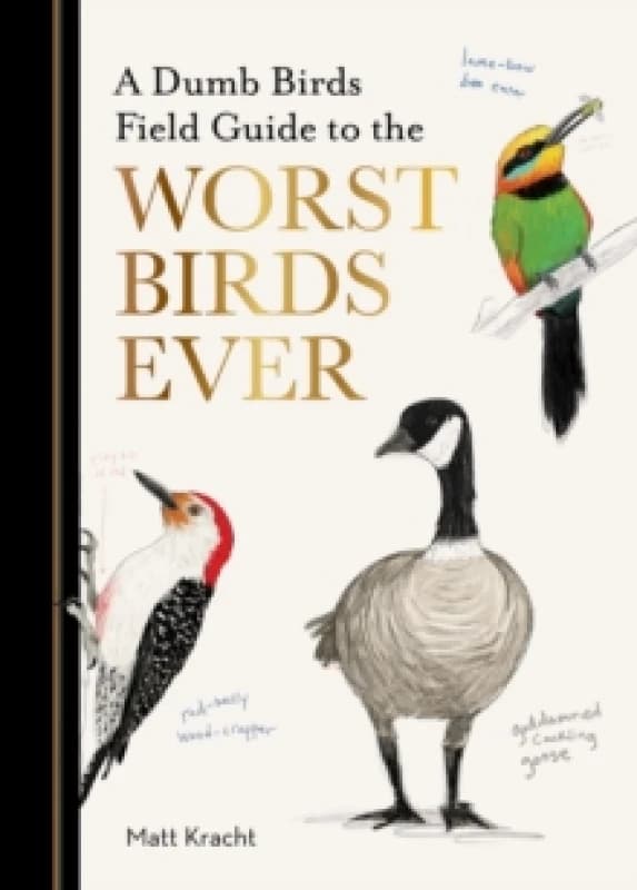 A Dumb Birds Field Guide to the Worst Birds Ever Paperback / softback