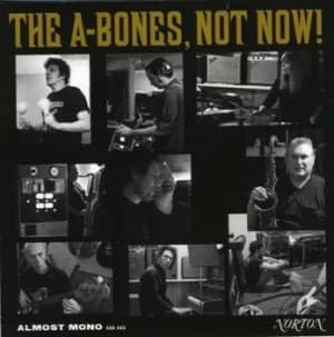Not Now by The A-Bones CD Album