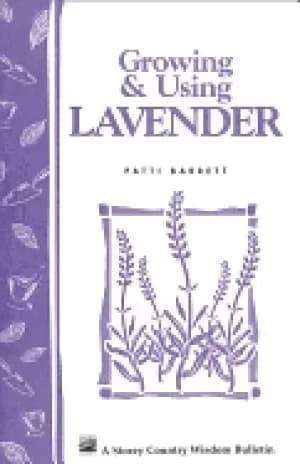 growing and using lavender storeys country wisdom bulletin a 155