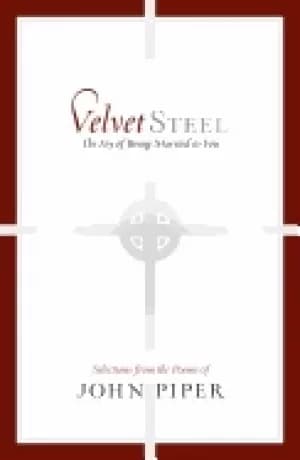 velvet steel the joy of being married to you selections from the poems of j