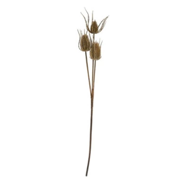Hill Interiors Triple Teasel Artificial Flower Brown (One Size)