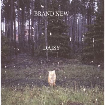 Brand New - Daisy Vinyl