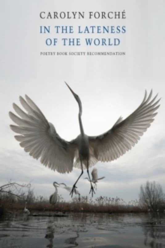 In the Lateness of the World Paperback / softback