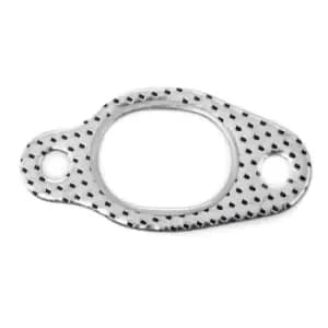 TOPRAN Exhaust Manifold Gasket 100 318 Exhaust Header Gasket,Exhaust Collector Gasket VW,AUDI,FORD,Golf IV Schragheck (1J1)
