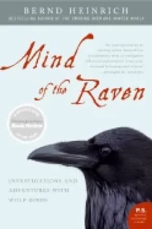 mind of the raven investigations and adventures with wolf birds