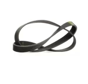 SKF V-ribbed belt VW,AUDI,SKODA VKMV 6PK1026 04L260849C,04L260849D,04L260849C 04L260849D,04L260849C,04L260849D,04L260849L,04L260849C,04L260849D