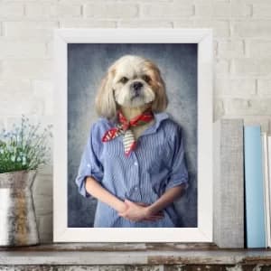 BC12812897414 Multicolor Decorative Framed MDF Painting