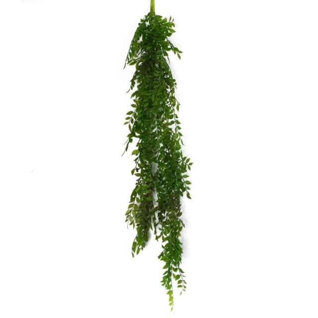 Leaf 100cm Hanging String of Pearls Fern Plant Dark Green Green unisex