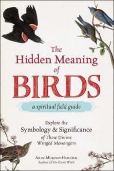 The hidden meaning of birds by Arin Murphy-Hiscock